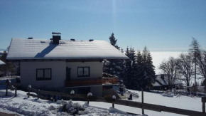 Ferienwohnung Haus am Stein, Deutsch Griffen, Österreich